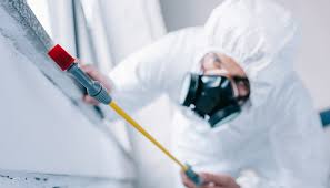 Best Residential Pest Control  in Mukilteo, WA